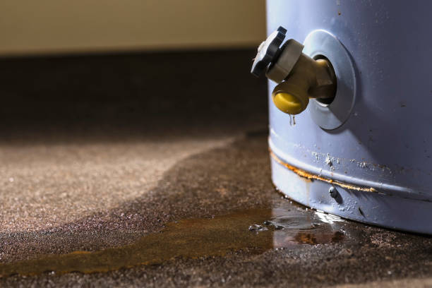 Best Flood damage cleanup  in Claremont, CA
