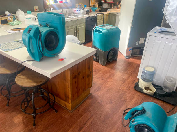Best Water damage restoration near me  in Claremont, CA