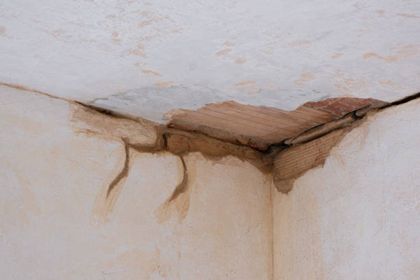 Best 24/7 water damage repair  in Claremont, CA