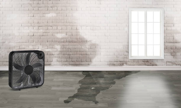 Best Commercial water damage restoration  in Claremont, CA