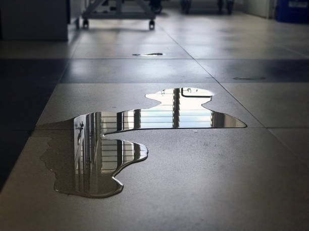 Best Local water damage restoration  in Claremont, CA