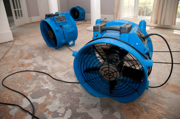 Best Water damage restoration mold remediation  in Claremont, CA