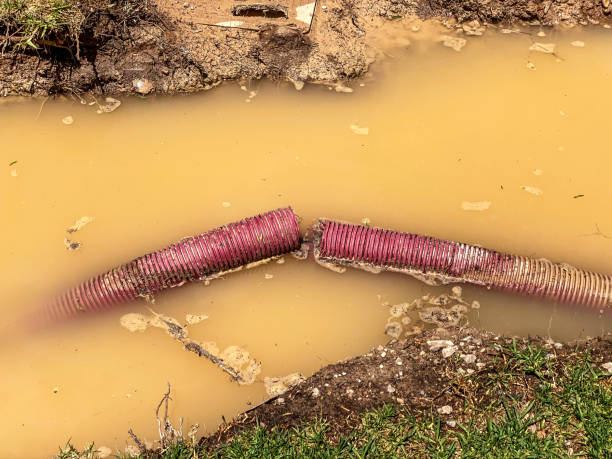 Reliable Claremont, CA Water damage restoration Solutions